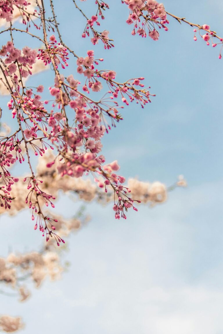 Les couleurs du printemps 2026 en décoration intérieure