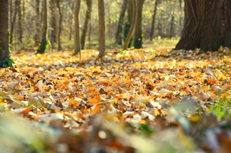 Les couleurs et matières tendance pour l&rsquo;automne-hiver 2026